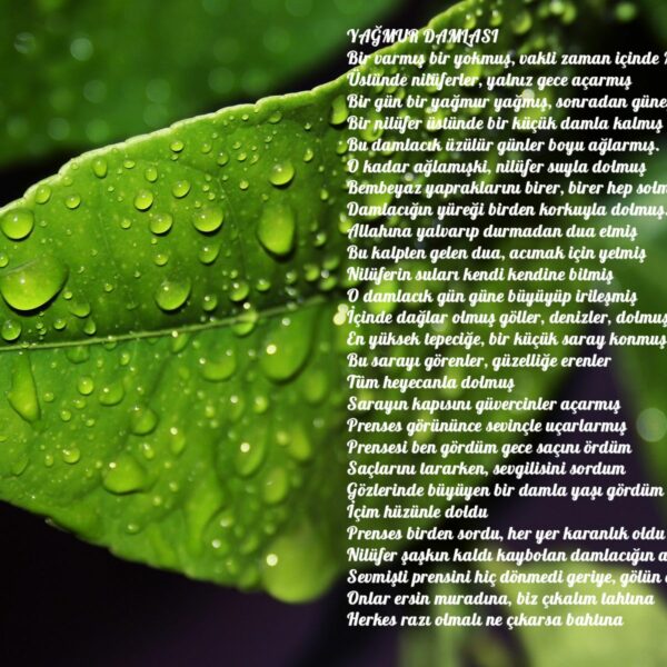 yagmur_damlasi